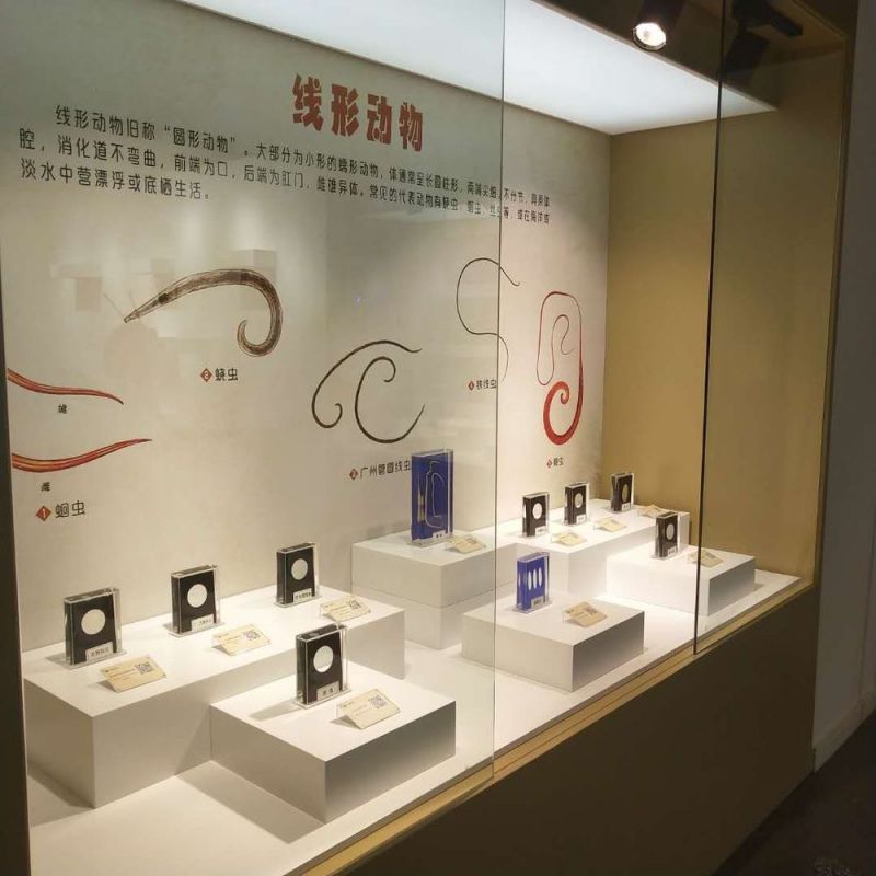 標(biāo)本展覽館